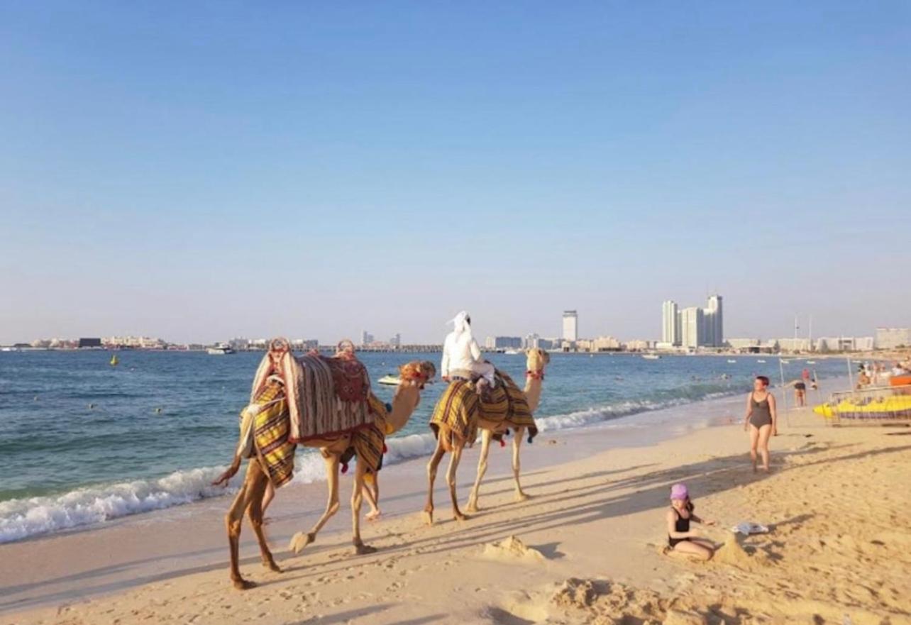 Seaview Beach Hostel Jbr - Walk To Beach - Gym - Pool - Metro Station Dubai Exterior photo